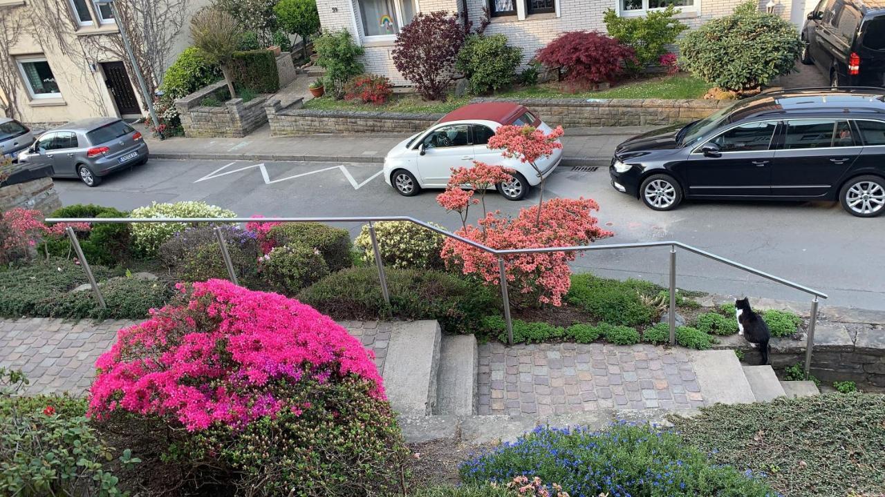 Ferienwohnung Am Waldrand Mit Dachterrasse ويتير المظهر الخارجي الصورة